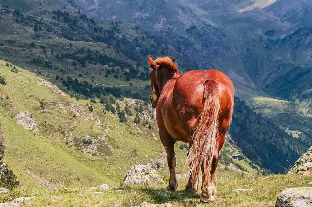 Fotografías Cabañas Andinas potrerillo