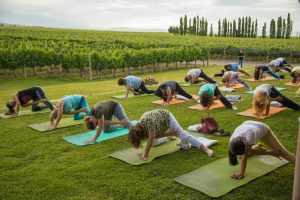 Turismo del bienestar en Mendoza para conectar mente, cuerpo y alma.